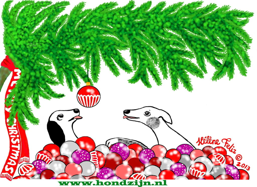 hondenstreken-tijdens-kerst
